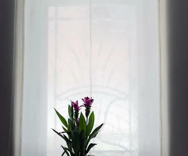 Apartamento Spanish Steps 3 Bedrooms Cozy,elegant And Roma