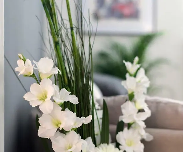Spanish Steps 3 Bedrooms Cozy,elegant And